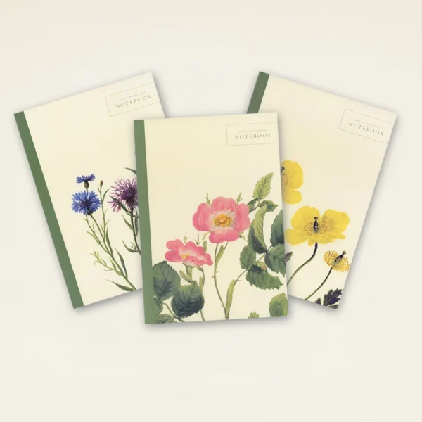 Notebooks