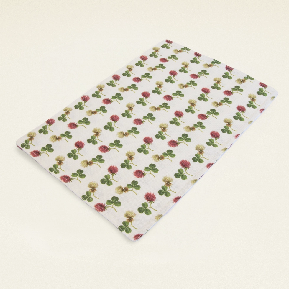 Pair of Place Mats